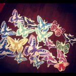 11355242_408143942711819_1225844986_a