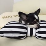 10354345_576346729199022_2140173237_a