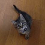 10957325_795547170554312_1995246762_a