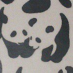 11375935_1605089703102093_757283292_a