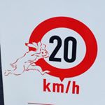 12543225_1669744983282939_453196291_a