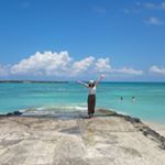 11899632_882423955187442_109339437_a