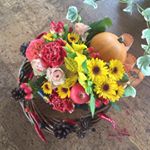 11856577_1497555373876004_1351539629_a