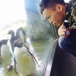 12142570_1914315158793807_1906828275_a