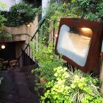 12256589_100494990321956_1422681627_a