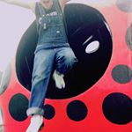 11809880_975532575822449_2088026507_a