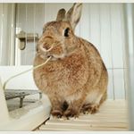 12070863_158605604486781_1354275113_a