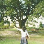 12070833_878157802262643_864050011_a