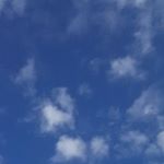 1173116_1686396821619136_1482428294_a