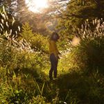 11910066_1640523742889750_1911192540_a