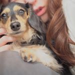 10665456_1499474327025061_252185655_a