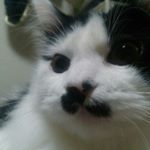 12394005_139869486383787_702286657_a