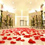 11887079_1133102160037793_527773794_a