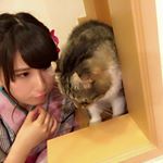 12331423_964217500314408_1933373040_a