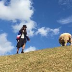 12144212_1079539992065721_693026522_a