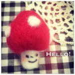 11910499_1625414727707651_1625293453_a