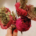 11273153_902167009841997_213740963_a