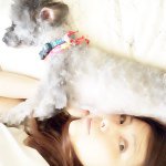 11377871_734395840003395_2015339372_a