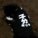 10546614_506834159417000_1538893752_a