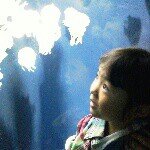 10950478_900575249979005_1191254861_a