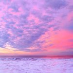 11374652_455523514615734_1387264410_a