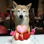 927856_940844676005496_1653231776_a