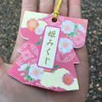 10666107_142785306095060_1773291859_a