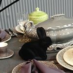 12256822_1531999803792052_1548458176_a