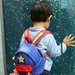 12063060_433803963477523_480378089_a