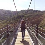 12142138_946238455447660_1726469317_a