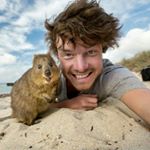 1527486_1504913596479215_551077160_a