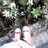10513017_normal