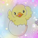 12530990_843198755807483_250769440_a