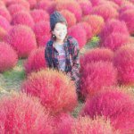 12093250_1660163780866166_1843556153_a