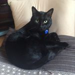 12556074_578812655618375_513650379_a