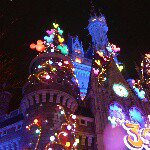 10958399_841611889213220_2104433919_a