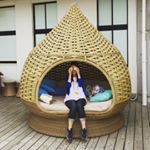 12237207_824535477644719_303500312_a