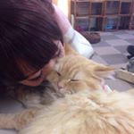 12568891_886017324850713_481992557_a