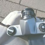 12346215_959058160830692_370341497_a