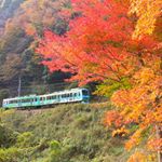 12093318_808051909293620_143914401_a