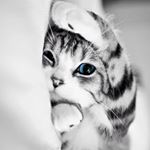 11374465_668164449952688_867172117_a