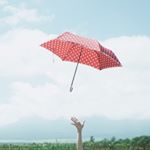 11848925_1649645571989349_229177512_a