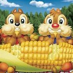 11363650_1626542484273395_1805084306_a