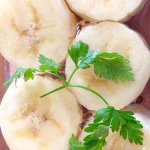 11372247_1585284998410319_967152928_a