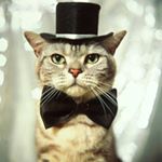 11425804_1465719047078640_44804963_a