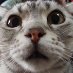 10576188_1095871567099740_1664218612_a