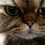 11910300_927664037301055_1504113691_a