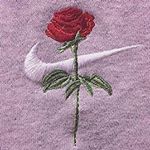 12543197_1196568527023149_853032095_a