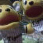 11252465_653148588155290_1757944793_a