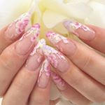 11887218_453169848188355_922436979_a